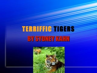 TERRIFFIC  TIGERS BY SYDNEY KAHN 