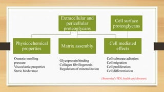 PROTEOGLYCANS OF PERIODONTIUM | PPTX