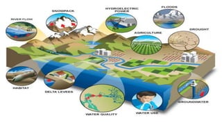 Climate change
“will likely lead to
food and water shortages,
and resources, and destruction by
natural disasters in regions across
the globe.”
Impacts Of Climate Change
 
