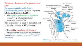 The primary ligaments of the glenohumeral
joint-
the superior, middle, and inferior
glenohumeral ligaments- play an important
role in stabilizing the shoulder.
• The superior glenohumeral ligament's
primary role is limiting inferior
translation in adduction.
Acts as a restraint to anterior translation and
to lateral rotation up to 45° abduction.
• The middle glenohumeral ligament,
which is absent in 30% of the population.
Limits lateral rotation between 45° and 90°
abduction.
 