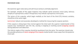 POSTERIOR VIEW:
the examiner again notes bony and soft-tissue contours and body alignment.
For example, atrophy of the upper trapezius may indicate spinal accessory nerve palsy, whereas
atrophy of supraspinatus and/or infraspinatus may indicate supraspinous nerve palsy.
The spines of the scapulae, which begin medially at the level of the third (T3) thoracic vertebra,
should be at the same angle.
Lennie test. Sobush and associates developed a method for measuring the scapular position.
If the scapula is sitting lower than normal against the chest wall, the superior medial border of the
scapula may "washboard" over the ribs, causing a snapping or clunking sound (snapping scapula)
during abduction and adduction.
The inferior angles of the scapulae should be equidistant from the spine. The examiner should note
the possible presence of classic winging of the scapula medial border moves away from the posterior
chest wall.
 