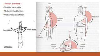 Motion available –
•Flexion/ extension
•Abduction/ adduction
•Medial/ lateral rotation
 