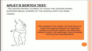 shoulder assessment (full)