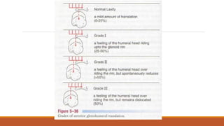 shoulder assessment (full)
