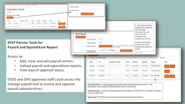 SYEP Providers Overview