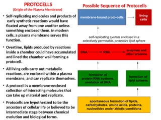 Protocell Evolution S.Y.B.Sc Origin and Evolution (Veena) presentation | PPTX