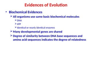 S.Y.B.Sc Origin and Evolution (Veena) presentation | PPTX