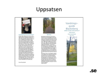 Uppsatsen