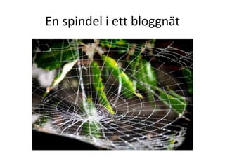 En spindel i ett bloggnät