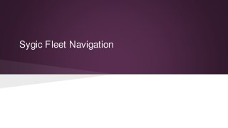 Sygic Fleet Navigation
 