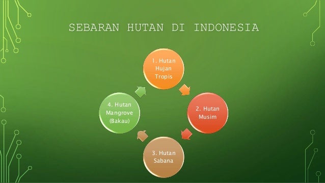 Geografi Flora Dan Fauna Di Indonesia Dan Dunia