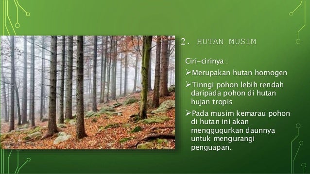 Geografi Flora Dan Fauna Di Indonesia Dan Dunia