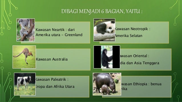 Geografi Flora Dan Fauna Di Indonesia Dan Dunia