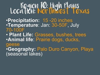 Region 10: High Plains
Location: Northwest Texas
• Precipitation: 15 -20 inches
• Temperature: Jan: 30-50F, July
70-100F
• Plant Life: Grasses, bushes, trees
• Animal life: Prairie dogs, ducks,
geese
• Geography: Palo Duro Canyon, Playa
(seasonal lakes)
 