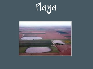 Playa
 