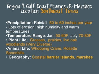 Region 4: Gulf Coast Prairies & Marshes
Location: Southeast Texas
• Precipitation: Rainfall 50 to 60 inches per year
- Lots of erosion; high humidity and warm
temperatures
• Temperature Range: Jan. 50-60F, July 70-80F
• Plant Life: Grasses, prairies, live oak
woodlands (Very Diverse)
• Animal Life: Whooping Crane, Rosette
Spoonbills
•  Geography: Coastal barrier islands, marshes
 