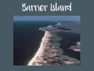 Barrier Island
 