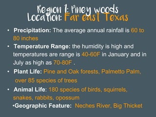 Region 1: Piney woods
Location: Far east Texas
•  Precipitation: The average annual rainfall is 60 to
80 inches
•  Temperature Range: the humidity is high and
temperatures are range is 40-60F in January and in
July as high as 70-80F .
•  Plant Life: Pine and Oak forests, Palmetto Palm,
over 85 species of trees
•  Animal Life: 180 species of birds, squirrels,
snakes, rabbits, opossum
• Geographic Feature: Neches River, Big Thicket
 