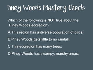 Piney Woods Mastery Check
Which of the following is NOT true about the
Piney Woods ecoregion?
A. This region has a diverse population of birds.
B. Piney Woods gets little to no rainfall.
C. This ecoregion has many trees.
D. Piney Woods has swampy, marshy areas.
 