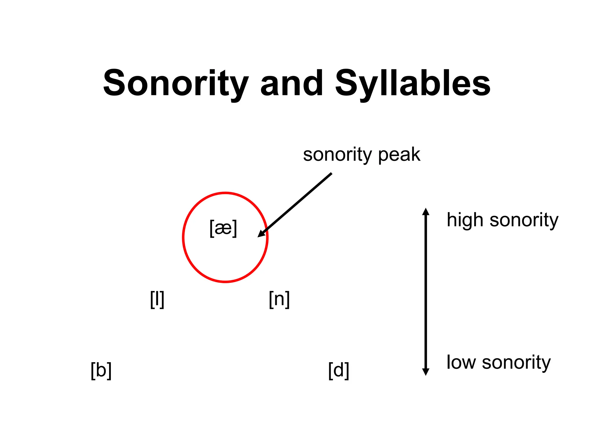 Syllable Structure Power Point Presentation Ppt