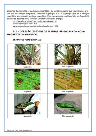 presença da magnetita e, ou da água magnética. Eu também acredito que nós moramos em
um mar de energia magnética, chamado Superlight, e é a Superlight que dá a energia
magnética ao monopolo e a água magnética. Veja meu web site: on Superlight em Superlight
adquira os detalhes desta teoria de uma fonte infinita de energia:
      http://www.luminet.net/~wenonah/new/milewski.htm
       www.water-magnet.com/ - 40k
       www.magneticeast.com/agriculture/results.html - 13k

   31.0 – COLEÇÃO DE FOTOS DE PLANTAS IRRIGADAS COM ÁGUA
MAGNETIZADA NO MUNDO.

       31.1 UNITED ARAB EMIRATES




                     Magnetic                                Not Magnetic




                     Magnetic                                Not Magnetic




                     Magnetic                                Not Magnetic




Timol Ind. Com. Prod. Magnéticos
 