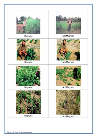 Magnetic     Not Magnetic




                      Magnetic     Not Magnetic




                      Magnetic     Not Magnetic




                      Magnetic     Not Magnetic




Timol Ind. Com. Prod. Magnéticos
 