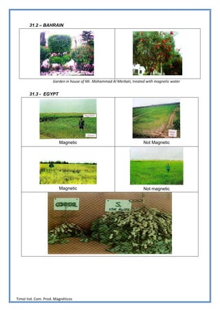 31.2 – BAHRAIN




                    Garden in house of Mr. Mohammad Al Merbati, treated with magnetic water


       31.3 - EGYPT




                        Magnetic                                      Not Magnetic




                        Magnetic                                      Not magnetic




Timol Ind. Com. Prod. Magnéticos
 