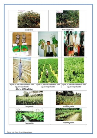 Magnetic                                       Not Magnetic




   Após 15 dias de tratamento com   Após 45 dias de tratamento com   Após 70 dias de tratamento com
         água magnetizada                 água magnetizada                 água magnetizada
          31.4 - INDONESIA




                       Magnetic                                      Not Magnetic




                       Magnetic                                      Not Magnetic



Timol Ind. Com. Prod. Magnéticos
 