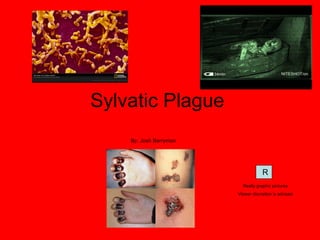 Sylvatic Plague  By: Josh Berryman R Really graphic pictures Viewer discretion is advised 