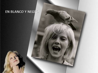 EN BLANCO Y NEGRO