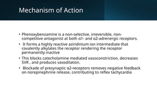 sympathetic nervous system and their antagonist.pptx