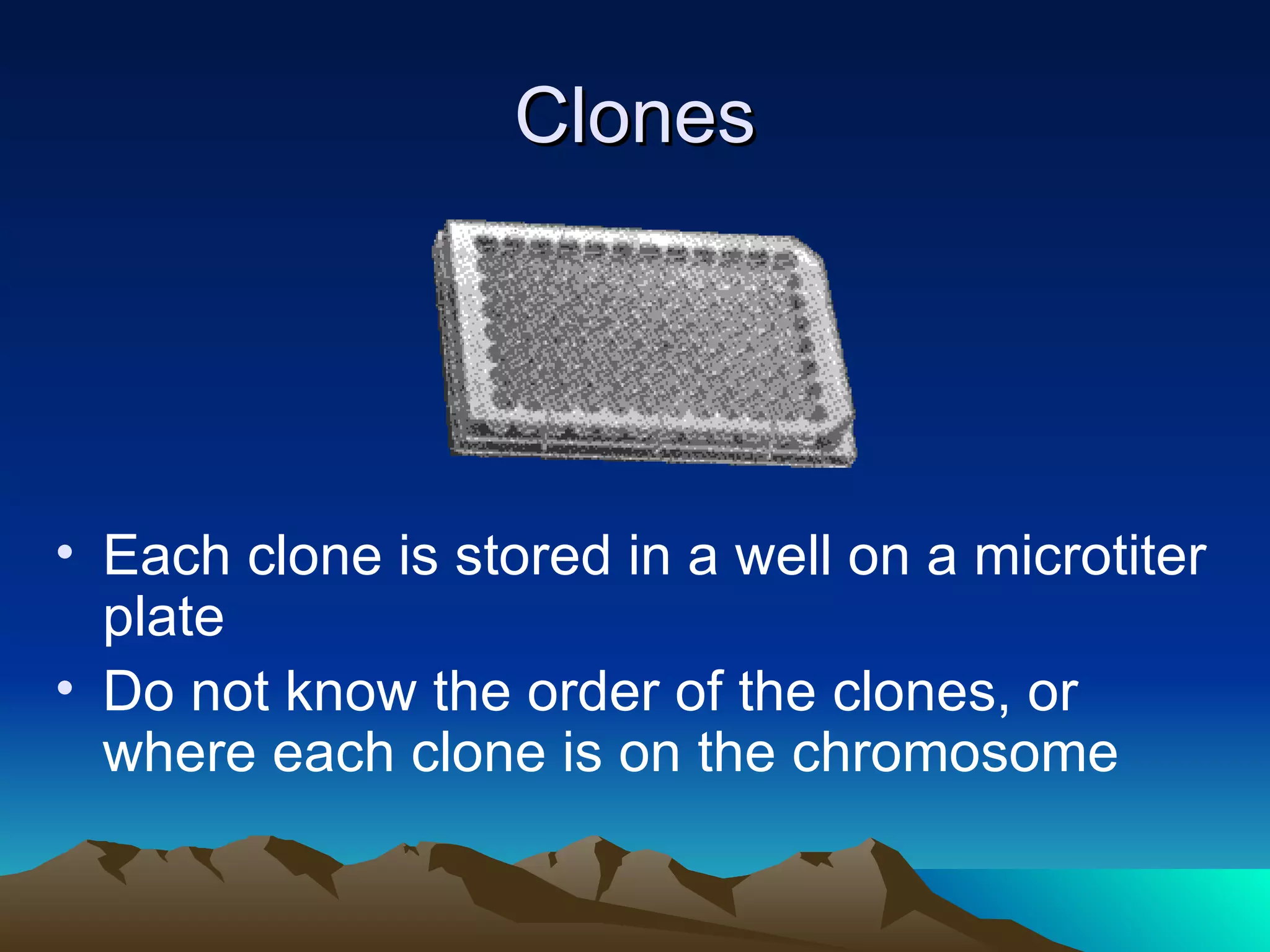 Clones Each clone is stored in a well on a microtiter plate Do not know the order of the clones, or where each clone is on the chromosome 