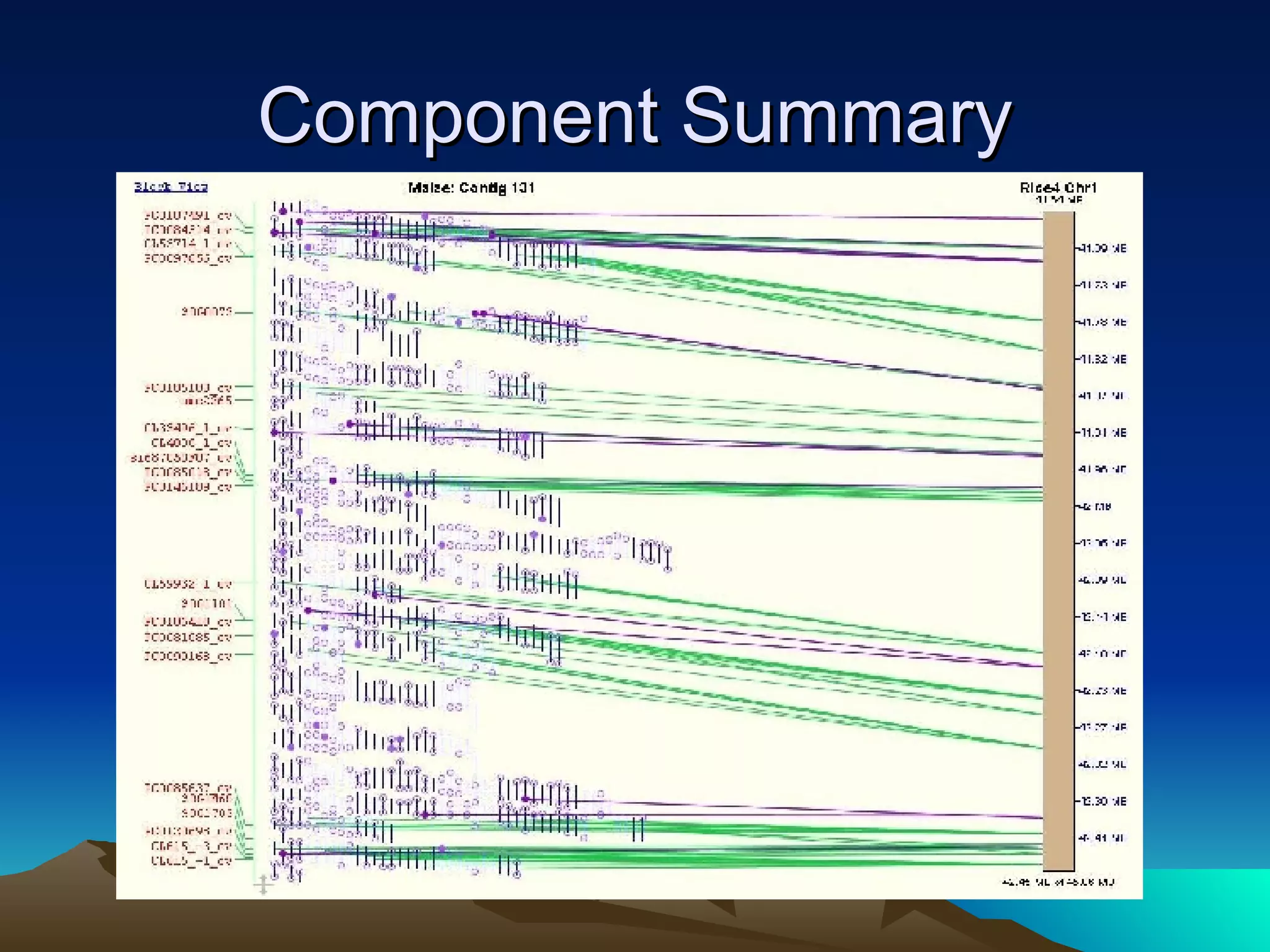 Component Summary 