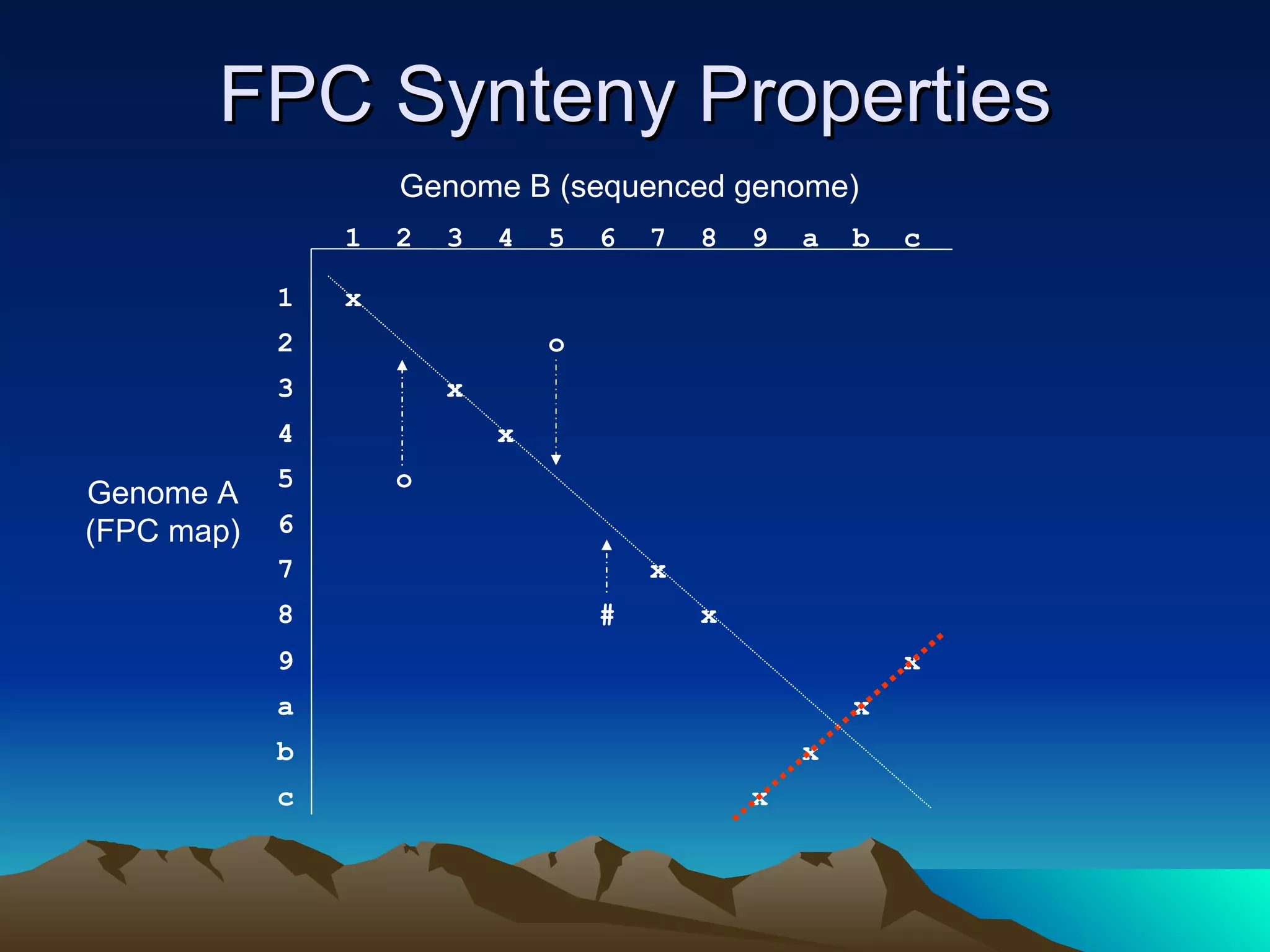 FPC Synteny Properties 1  x 2  o 3  x  4  x  5  o 6  8  #  x  9  x a  x b  x c  x 7  x 1  2  3  4  5  6  7  8  9  a  b  c Genome A (FPC map) Genome B (sequenced genome) 