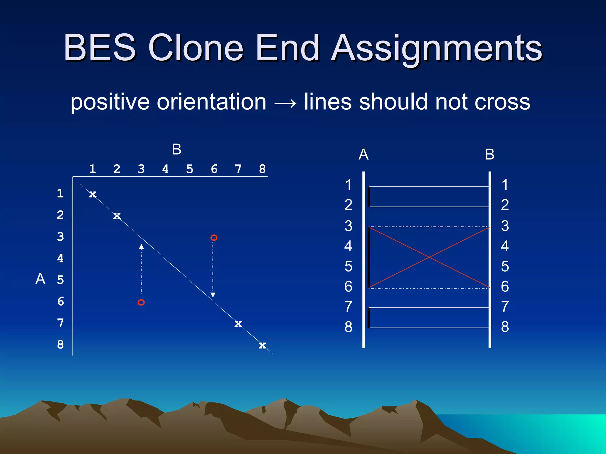 BES Clone End Assignments positive orientation -> lines should not cross 2  x 3  o 4  5  6  o 7  x 8  x 1  2  3  4  5  6  7  8 A B 1  x B A 2 3 4 5 6 7 8 2 3 4 5 6 7 8 1 1 