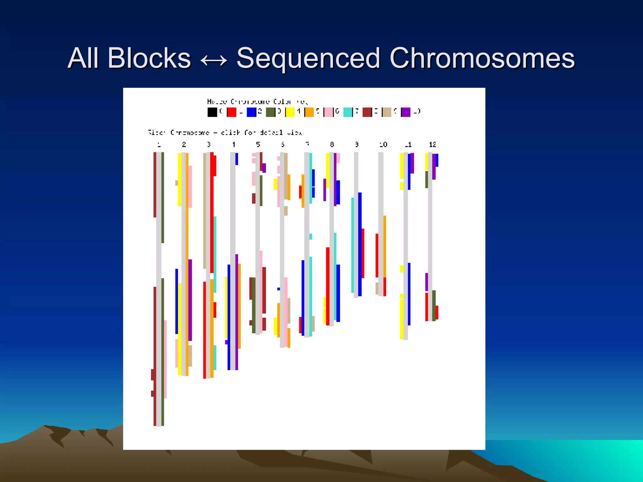 All Blocks ↔ Sequenced Chromosomes 