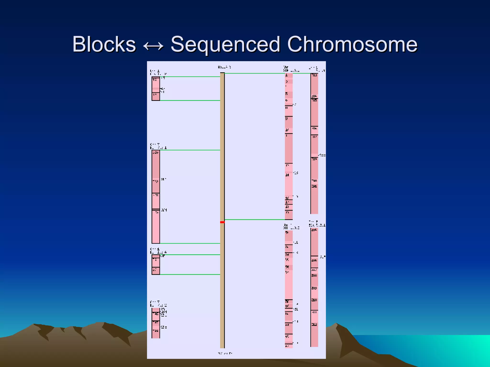 Blocks ↔ Sequenced Chromosome 