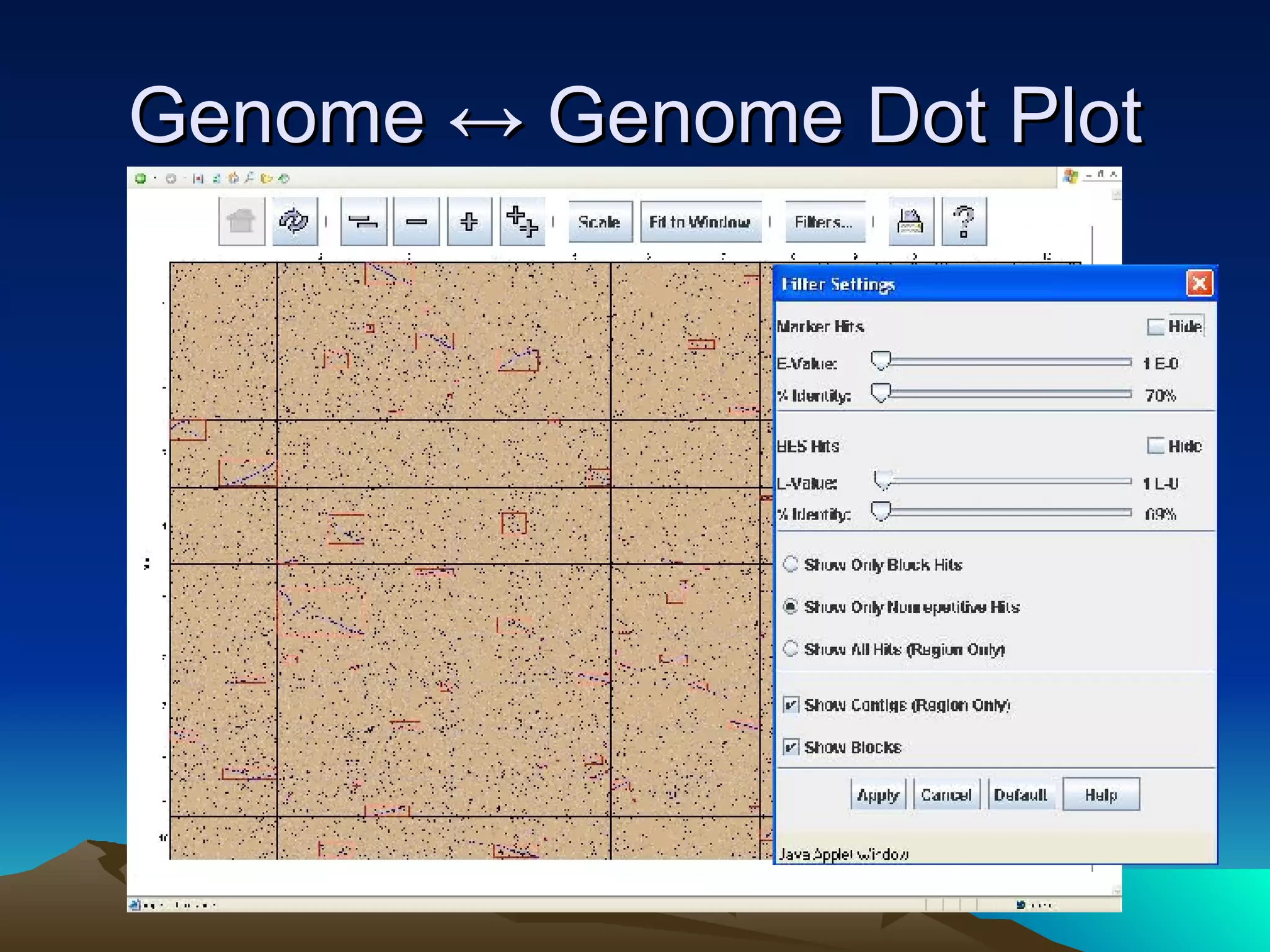 Genome ↔ Genome Dot Plot 