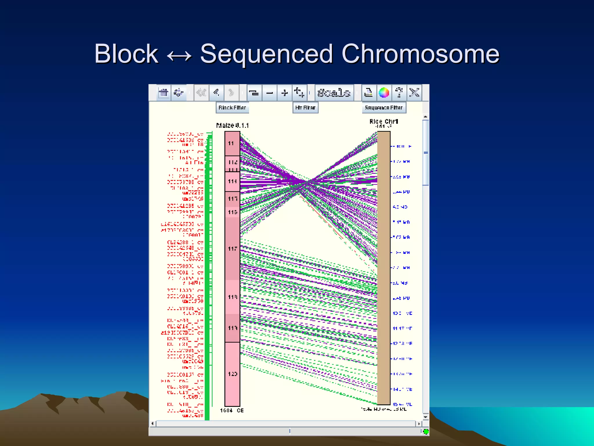 Block ↔ Sequenced Chromosome 