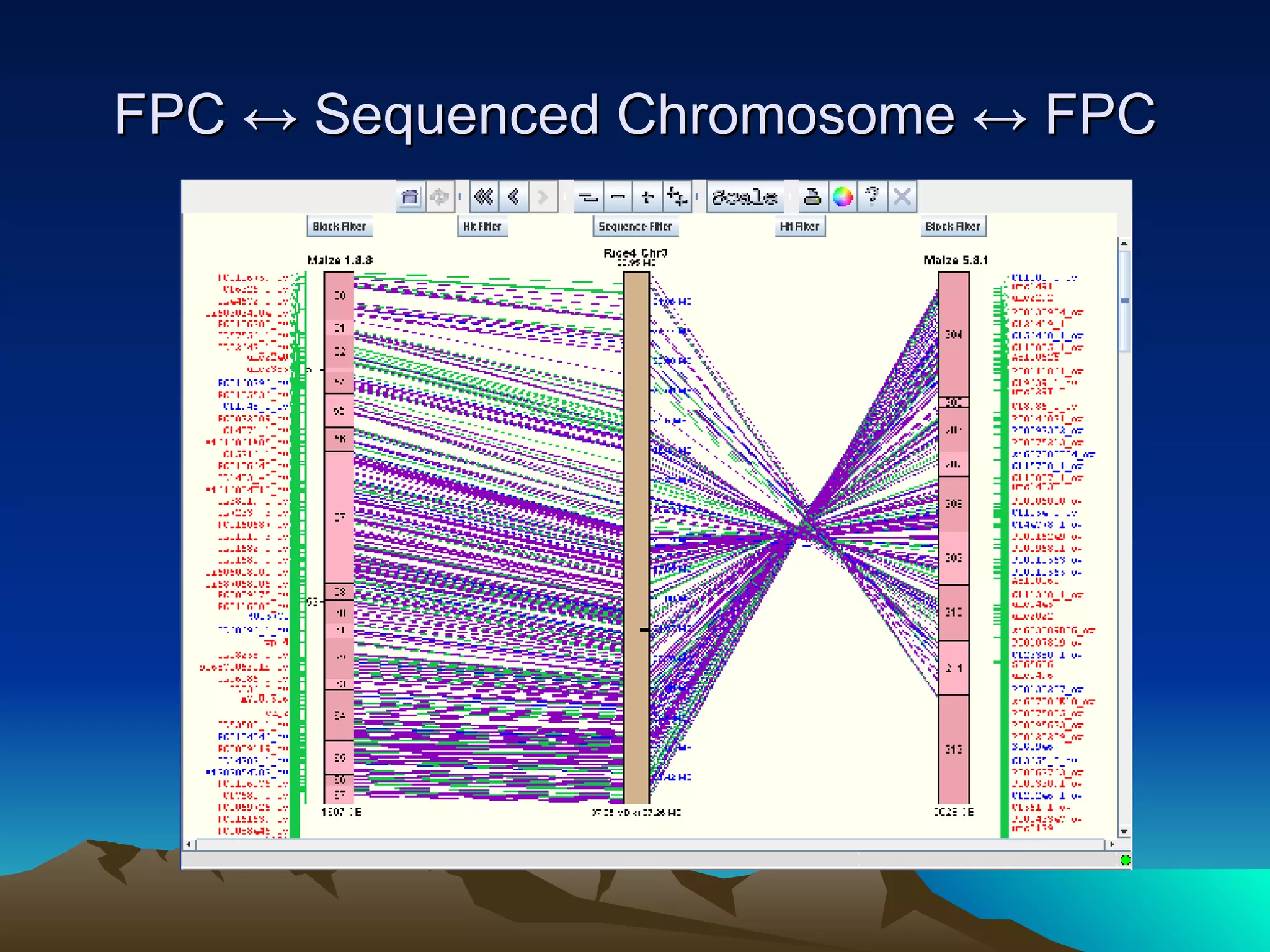 FPC ↔ Sequenced Chromosome ↔ FPC 