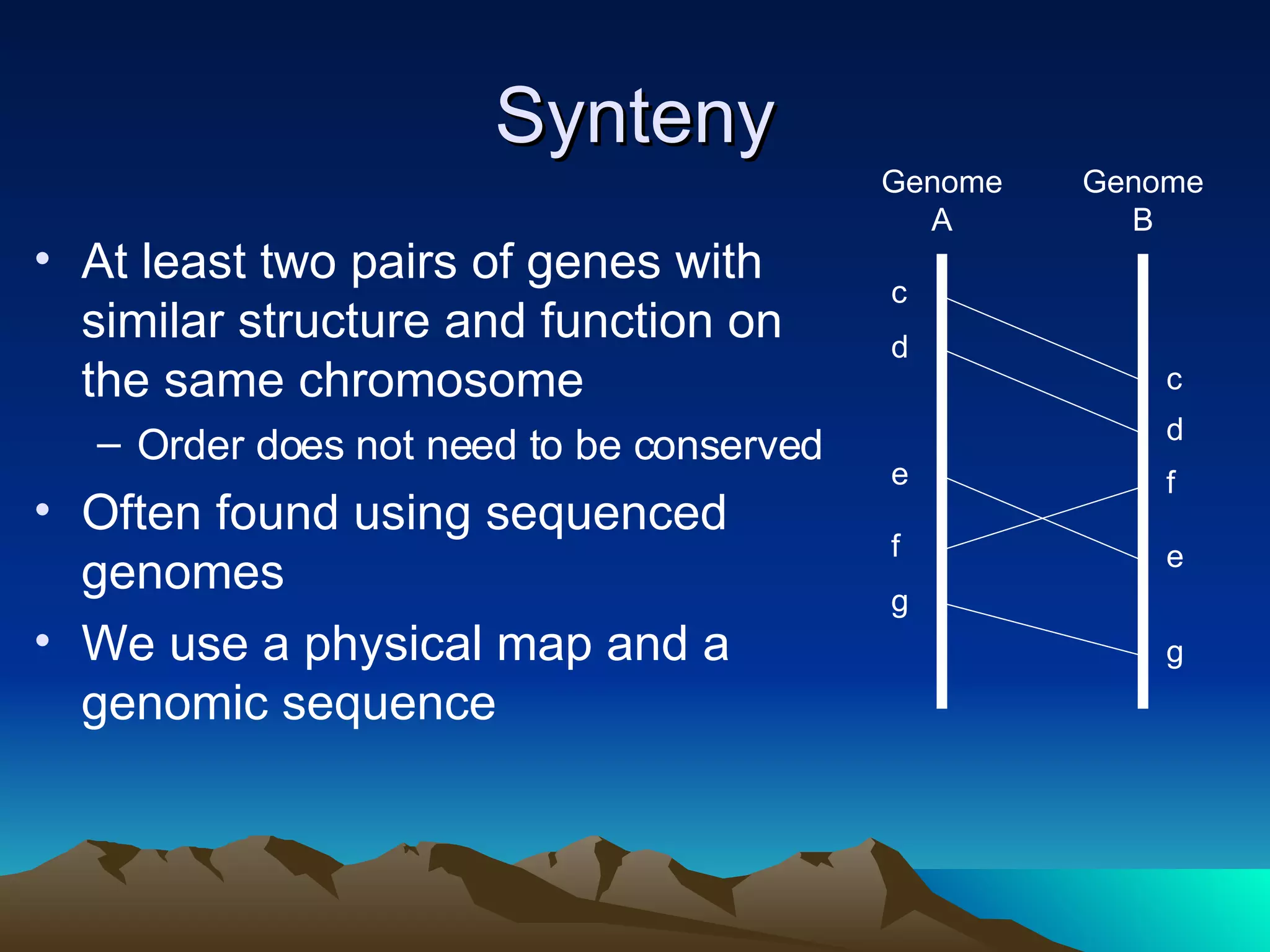 Synteny At least two pairs of genes with similar structure and function on the same chromosome Order does not need to be conserved Often found using sequenced genomes We use a physical map and a genomic sequence Genome A c d e f g c d e f g Genome B 