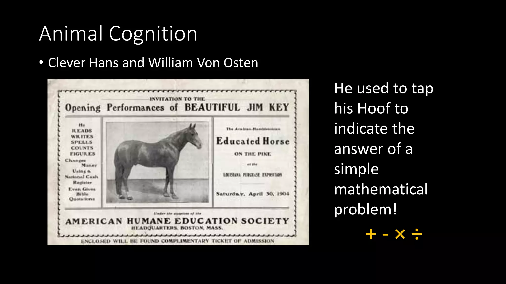 Animal Cognition
• Clever Hans and William Von Osten
He used to tap
his Hoof to
indicate the
answer of a
simple
mathematical
problem!
+ - × ÷
 