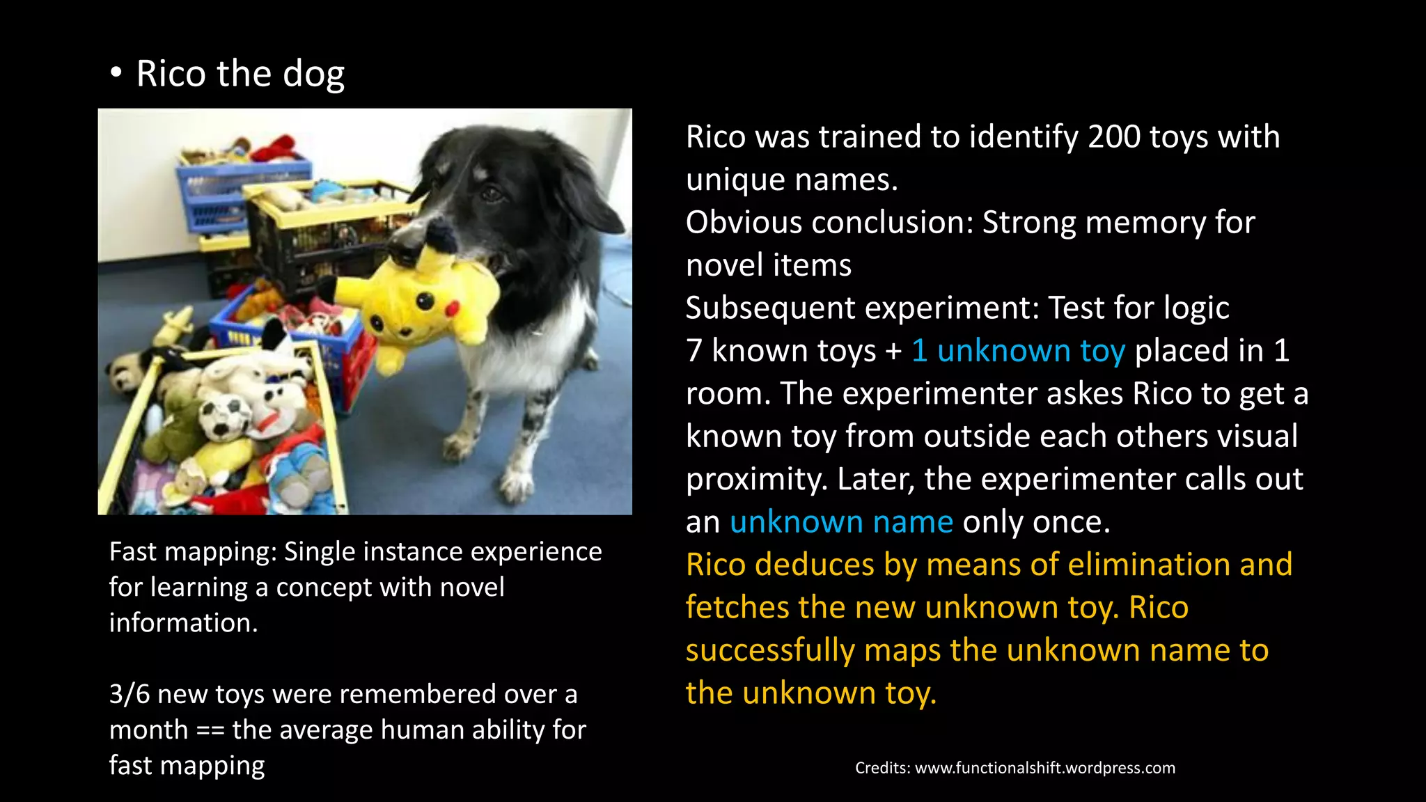 • Rico the dog
Credits: www.functionalshift.wordpress.com
Rico was trained to identify 200 toys with
unique names.
Obvious conclusion: Strong memory for
novel items
Subsequent experiment: Test for logic
7 known toys + 1 unknown toy placed in 1
room. The experimenter askes Rico to get a
known toy from outside each others visual
proximity. Later, the experimenter calls out
an unknown name only once.
Rico deduces by means of elimination and
fetches the new unknown toy. Rico
successfully maps the unknown name to
the unknown toy.
Fast mapping: Single instance experience
for learning a concept with novel
information.
3/6 new toys were remembered over a
month == the average human ability for
fast mapping
 