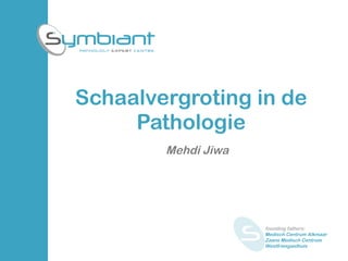 Schaalvergroting in de Pathologie Mehdi Jiwa founding fathers:  Medisch Centrum Alkmaar Zaans Medisch Centrum Westfriesgasthuis 