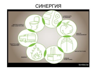 СИНЕРГИЯ
 