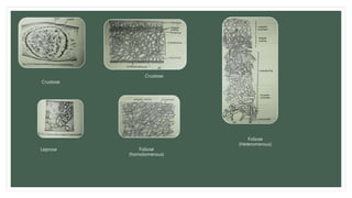 SYMBIONTIC RELATIONSHIP in Fungi in Pakistan.pptx