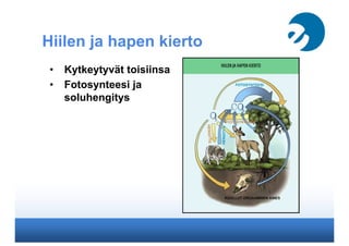 Hiilen ja hapen kierto
•  Kytkeytyvät toisiinsa
•  Fotosynteesi ja
soluhengitys
 