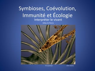 Symbioses, Coévolution, 
Immunité et Écologie 
Interpréter le vivant 
Gilles St-Pierre 
Vie aquatique Gilles Nadeau 
 