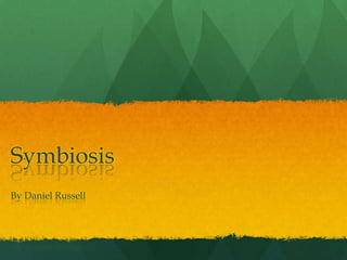 Symbiosis By Daniel Russell 