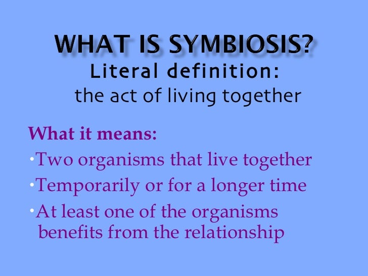 what do you mean by symbiosis explain with an example